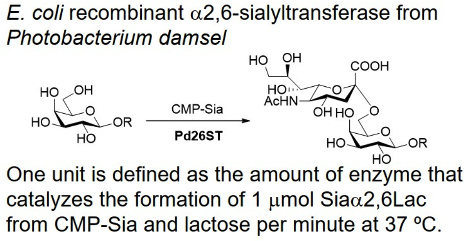 α-2,6-sialyltransferase;Pd26ST